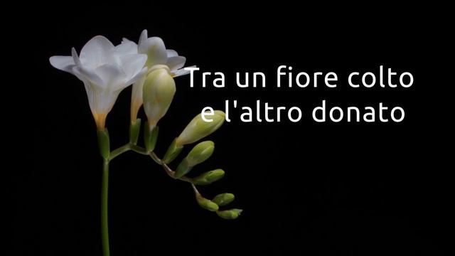 Eterno, Giuseppe Ungaretti смотреть онлайн