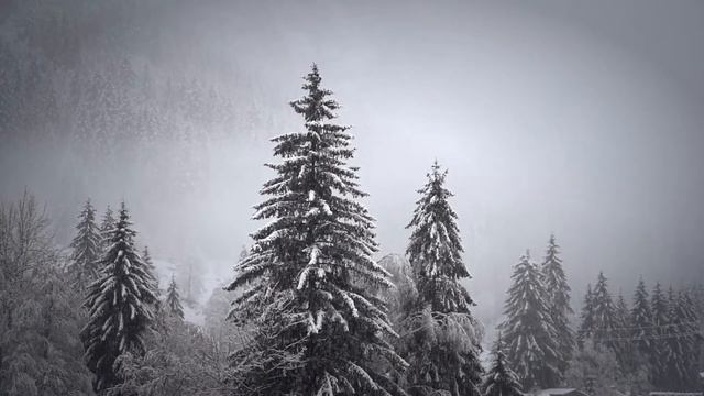 МУЗЫКА ВОЛШЕБСТВО ЗИМЫ смотреть онлайн