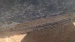 наши Бункерные кормушки для КРС В РАБОТЕ