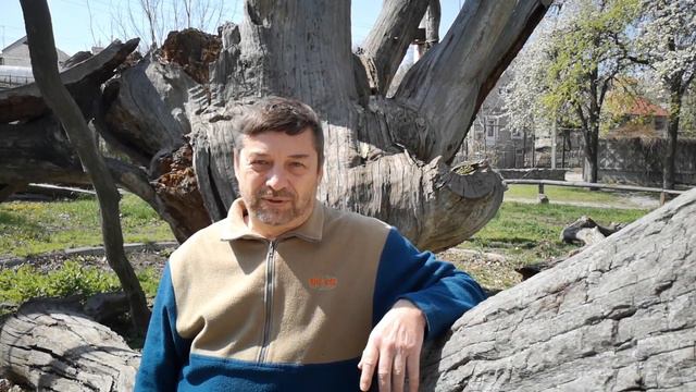 Історія Запорізького дуба за 10 хвилин смотреть онлайн