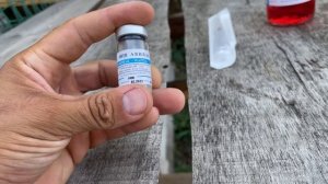 Вакцинация цыплят от Марека