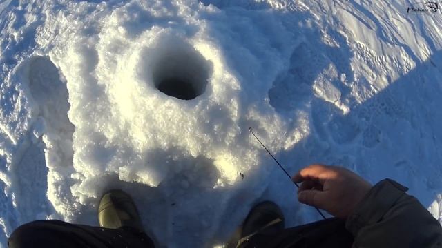 Катушка зимняя Stinger Arctic Char Pro смотреть онлайн