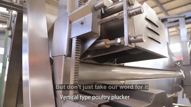 Feather-Free and Fabulous Revolutionize Your Poultry Processing смотреть онлайн
