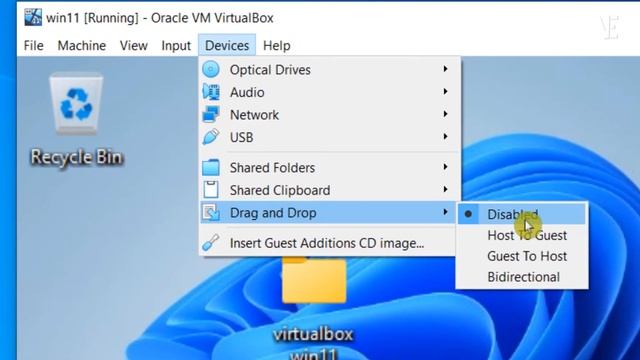 Drag and Drop between Windows 10/11 and VirtualBox /How to Enable Drag Drop смотреть онлайн