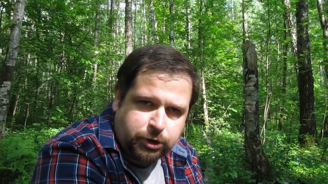 Как уберечься от укуса вампира? смотреть онлайн