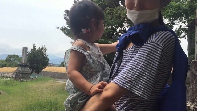 Cельская жизнь в Японии и Синтоистский храм. смотреть онлайн