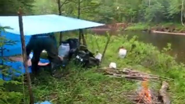 Рыба на Прикормку