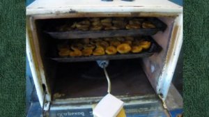 № 88 Сушилка самодельная инфракрасный дегидратор для фруктов и овощей