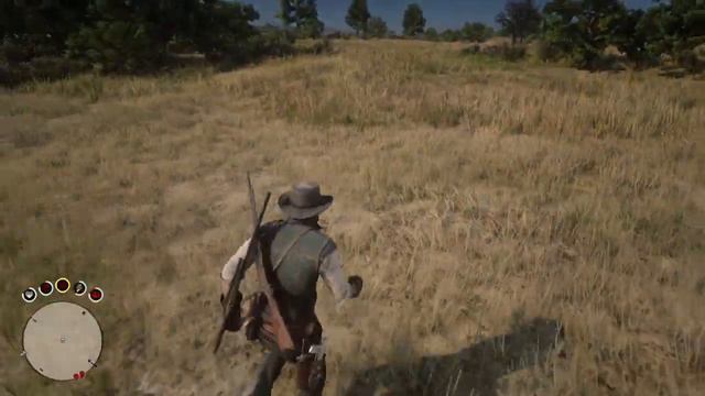 Как найти Легендарного Бизона Татанка в RedDeadRedemption2