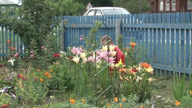 с.  Городец зарисовка