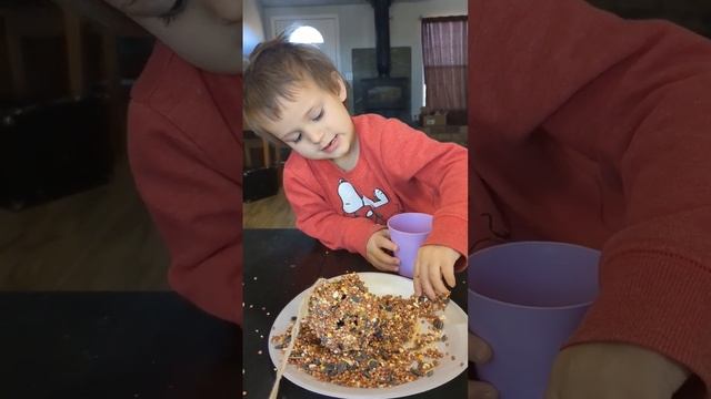 DIY Pinecone Peanut Butter Bird Feeder ? смотреть онлайн