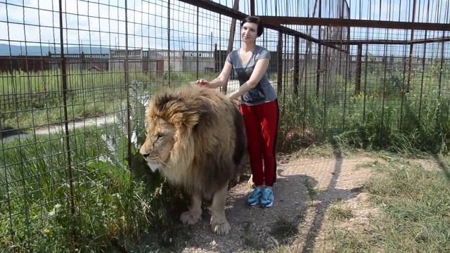 Лев Марсель танцует под аккомпанемент Олега Зубкова ! смотреть онлайн