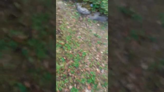 ПРИЕХАЛИ НА ДАЧУ ОСТРОВСКОГО! Часть 2 смотреть онлайн