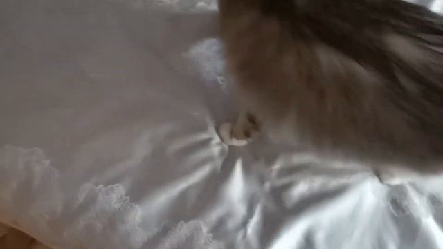 Когда хочется ласки смотреть онлайн