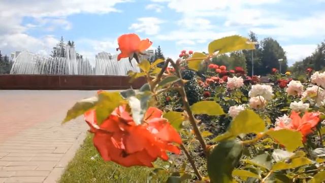 ТУРецких Белгород смотреть онлайн