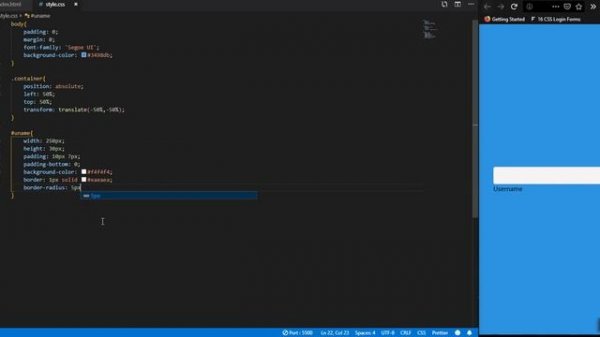 build custom input with html css