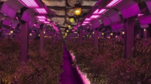 Ферма под землей. Фрагмент из фильма Джентльмены.