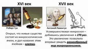 Увеличительные приборы | Биология 5 класс #4 | Инфоурок