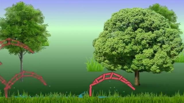 Червячок серповидный учится бегать смотреть онлайн