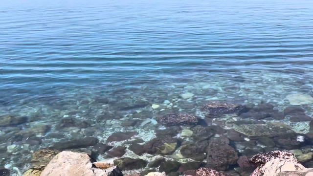 Молодой мужчина удивляет меня и балует #ленахеппи #lenahappy #lenahappy