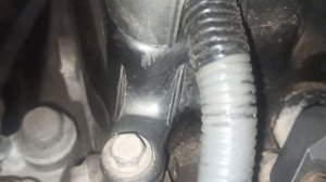 Стук двигателя Honda Civic 4D на холодную