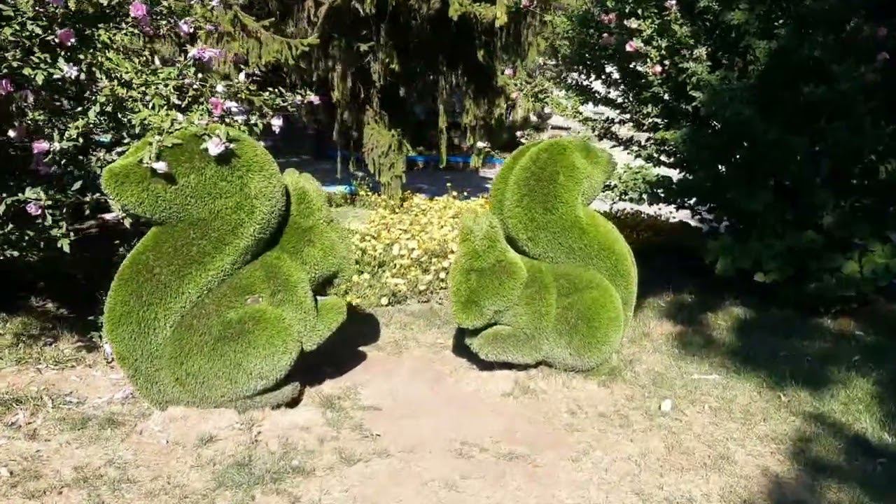 Железноводск. Курортный парк. 8 августа 2022 года смотреть онлайн