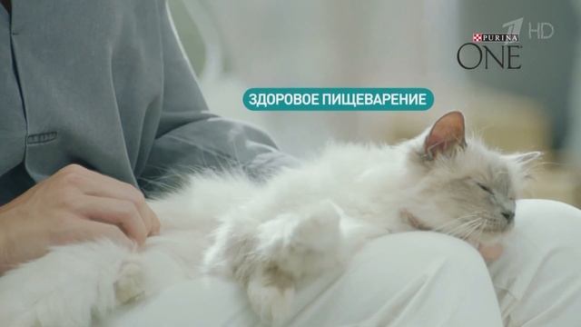 Purina One - Реклама смотреть онлайн