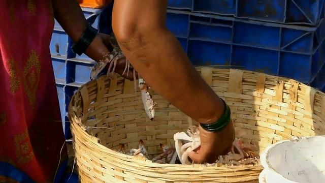 Улыбка Шакти. Главы романа смотреть онлайн