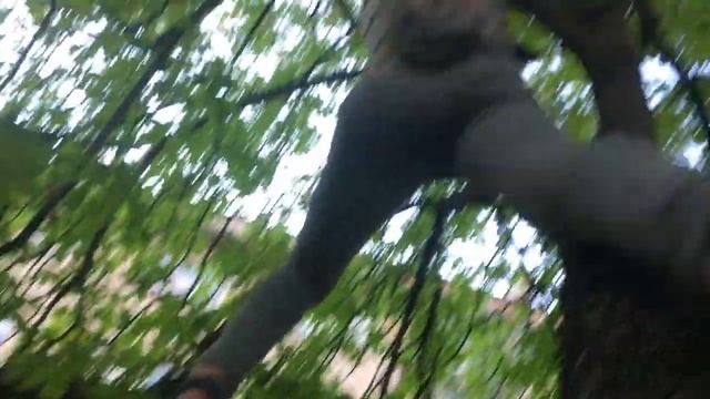 Як навчитися лазити по деревах смотреть онлайн