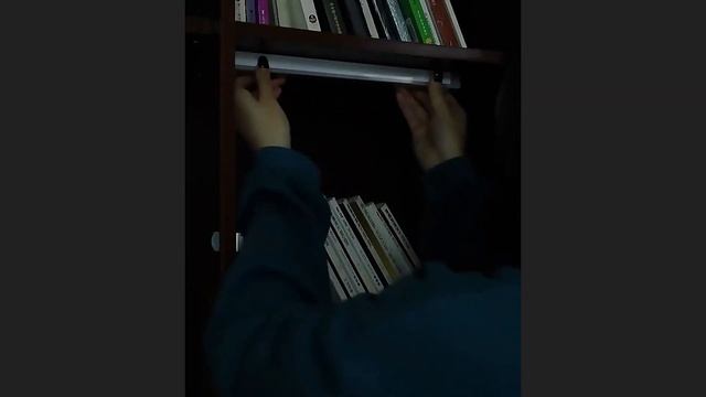 Светильник СВЕТОДИОДНЫЙ ночсветильник с датчиком движения смотреть онлайн