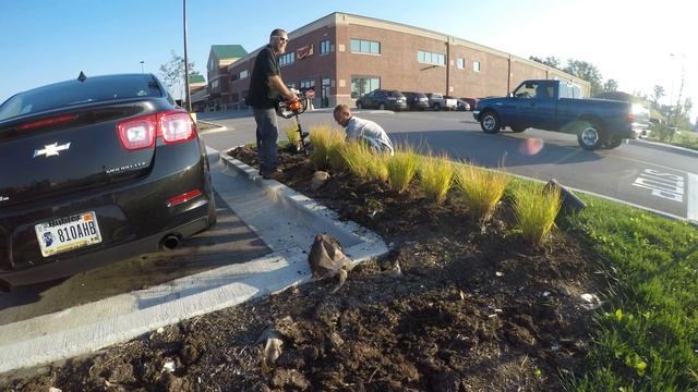 Planting ornamental grass смотреть онлайн