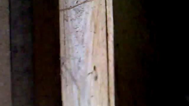 Мини ферма для кроликов Полуавтоматическая кормушка для зерна смотреть онлайн