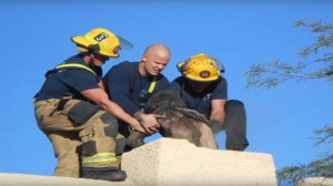 8 СТРАННЫХ МЕСТ В КОТОРЫХ ЗАСТРЕВАЛИ ЛЮДИ [Белый кот]