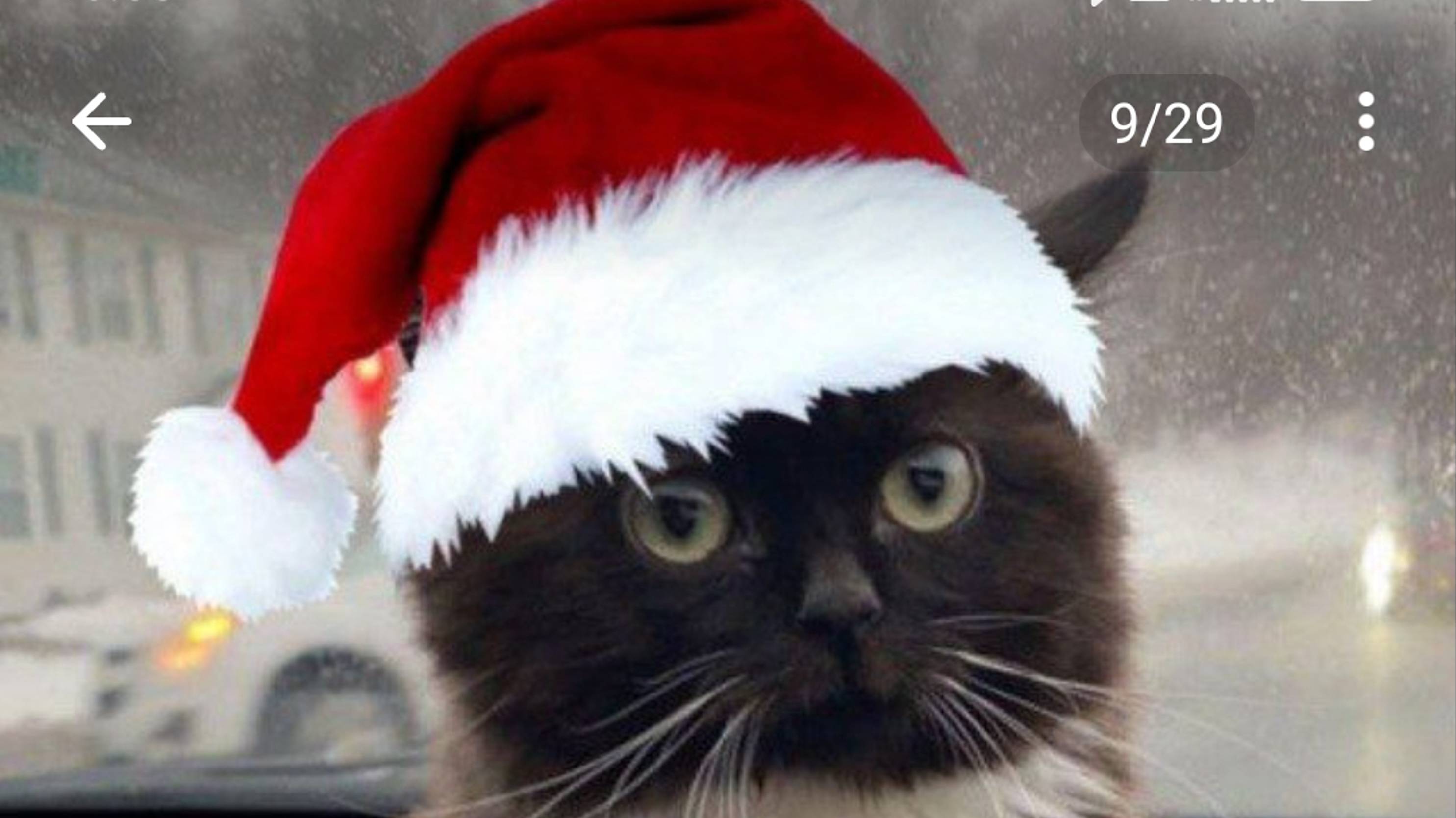 Зайдите тут ваша любимая рубрика ну у моих под пищиков