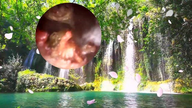 Делай Своими Руками