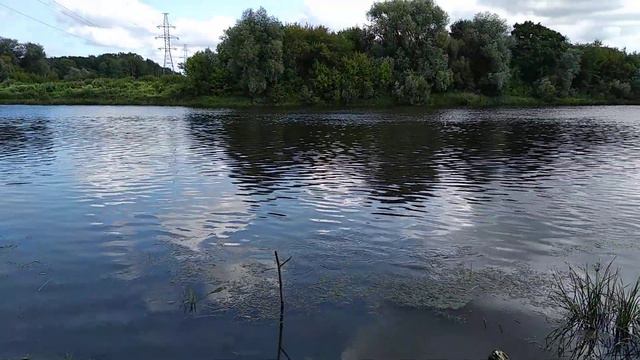 Велопрогулка по реке Клязьма около Владимира смотреть онлайн