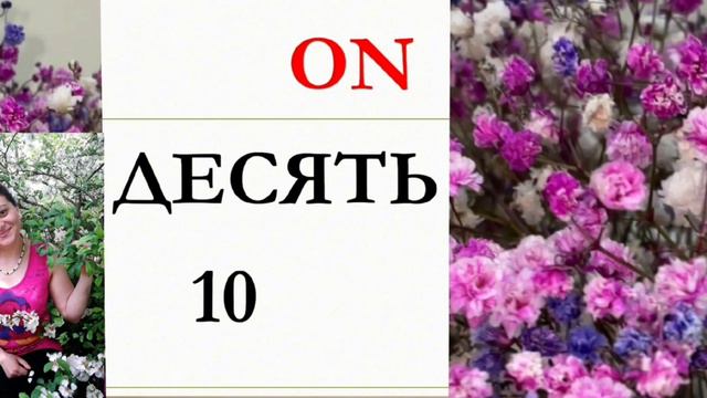 Турецкий язык с нуля . Цифры и числа - Rakamlar ve sayılar , сокращеная версия . смотреть онлайн