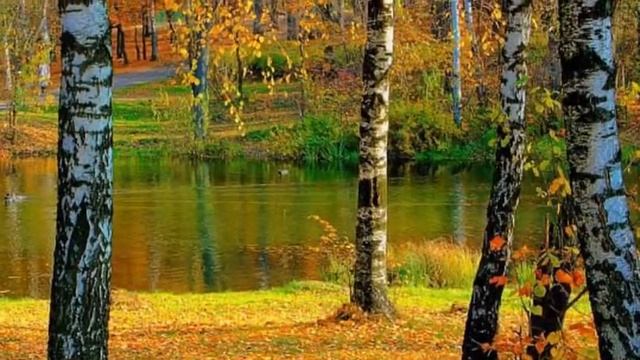 Золотая осень смотреть онлайн
