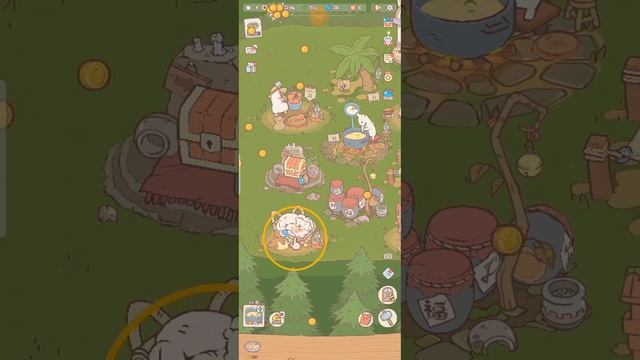 кошки и суп! моё мнение!