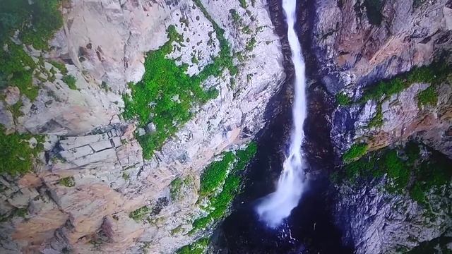 Я люблю тебя, жизнь /Дария Кайбылдаева/ смотреть онлайн