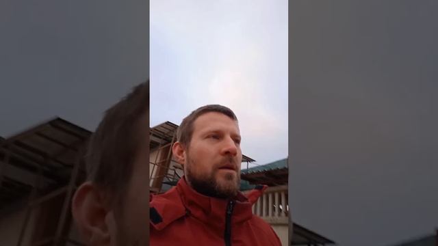 Когда лучше всего начинать?