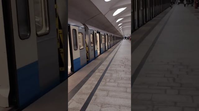 поезд на станции метро Алтуфьево #метро