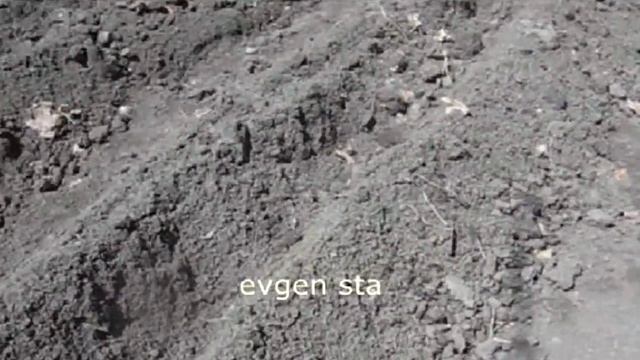 О КАПУСТЕ от А до Я смотреть онлайн