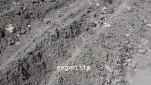 О КАПУСТЕ от А до Я