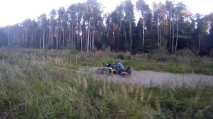 Стелс Гепард | Сравнение 650 vs 800