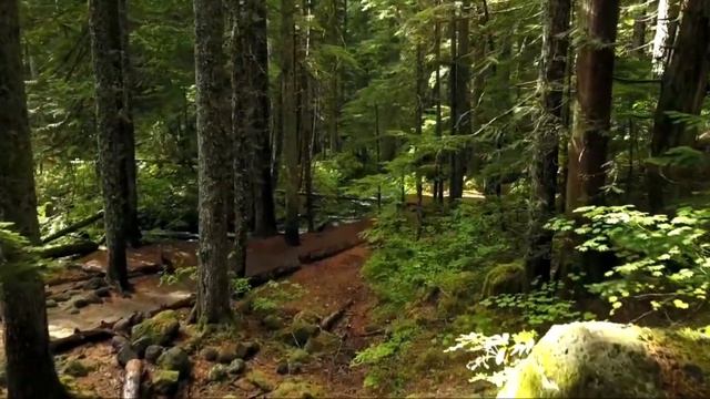 Гарри Поттер и Узник Азкабана смотреть онлайн