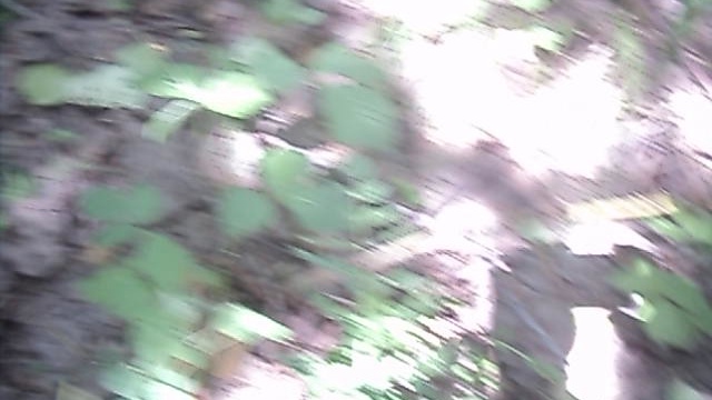 MOV02221 смотреть онлайн
