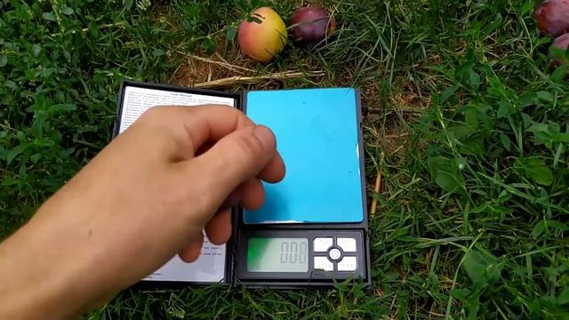 Сливи - Ренклод Ранній та диплоїдної сорту Динна. смотреть онлайн