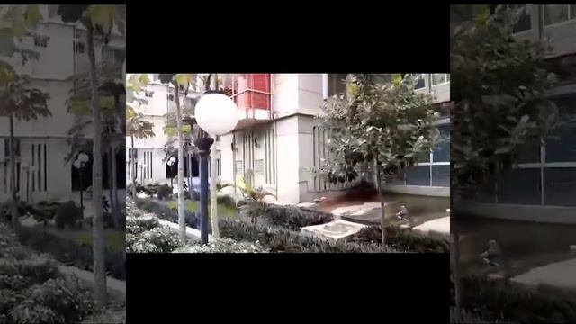 Территория Грин Сити. Экзотческие растения по соседству. Бангладеш. АЭС Руппур. Сентябрь 2022. смотреть онлайн