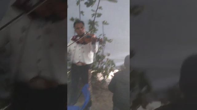 amigo mariachi trompeta de oro Adán Rodríguez смотреть онлайн